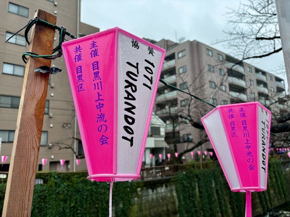 現在の目黒川の桜は・・・の画像